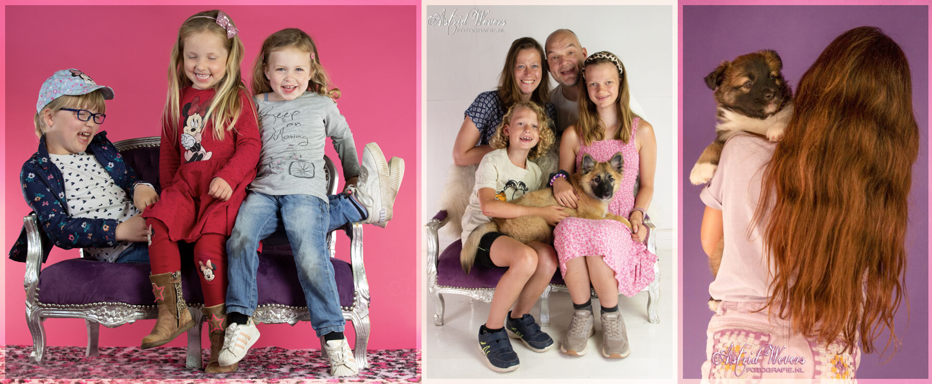 IJslandse-Honden-liefde 2025